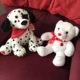 Valentine s Day Gifts- Dalmation Dog and Teddy