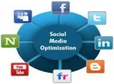 SEO India&rsquos 1 digital marketing agency  Professional SEO Co