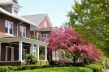 Choose Good Rental Property Companies
