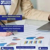 Data Preparation Services Company &ndash 7 AVP