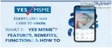 YES MSME Everything you Need to Know
