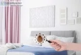 Hire The Best Bed Bug Treatment Company