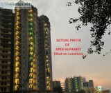 Best Destination To Settle At Apex Alphabet