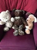 3 Teddy Bears