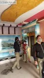 Residential flat for sale
