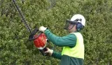 Popular Lawn Mowing Alfredton