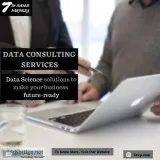 Data Science and Consulting Service Provider