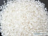Rice exporters of india