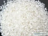 Rice exporters of india