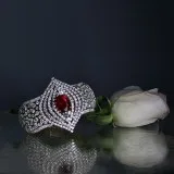 Eye of the Ruby