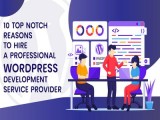 10 Top notch reasons to hire a professional WordPress developmen