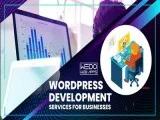 WordPress Development Services For Businesses - Wedowebapps LLC