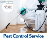 Best Pest Control Services in MG Road Bangalore  Nanocart