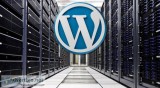 unlimited wordpress hosting