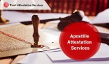 Trusted Apostille attestation services in Delhi NCR