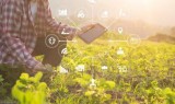 AGRICULTURE AND FOOD-PROCESSING