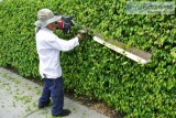 Best Outdoor Landscaping Service in Florida