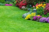 Best Garden Design for Small Gardens in Florida