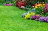 Best Garden Design for Small Gardens in Florida