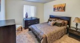 Beautiful Newly renovated studio with loft