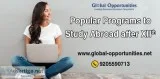 Popular Programs to Study Abroad after XIIth