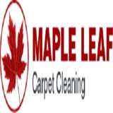 Best Carpet Cleaner In Edmonton  Maple Leaf Carpet Cleaning
