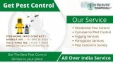 Best Pest Control in Ghaziabad Pest Control Charges in Ghaziabad
