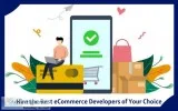 Hire the Best eCommerce Developers of Your Choice