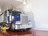 Are you looking for a potent solution for your car washing shed 