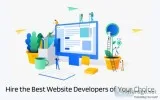 Hire the Best Website Developers of Your Choice