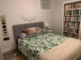1 bedroom lower level - Little Italy Dufferin Grove