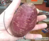 Purple sweet potatoe plants  available for  late April