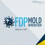 FDP Mold Remediation