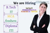 B.tech IT MCA Diploma ITI Fresher Opening in Noida Haridwar and 
