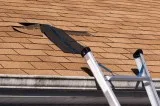 Storm Damage Restoration  Roofing Contractor Tampa