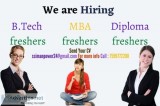 B.tech Fresher Opening in Noida Haridwar and Rudrapur We are cur