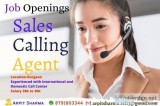 Hiring for Sales Calling Agent