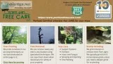 Tree pruning service in Portland Gresham Troutdale