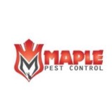 Bed Bugs  Pest Control and Removal in Brampton
