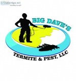 Big Dave s Termite and Pest Control