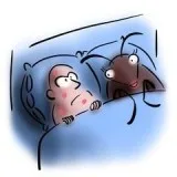 Bed Bug Heat Treatment in Lake Orion
