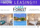 Beautiful Apartments for Rent At Lake Forest