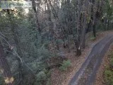 Wooded residential lot