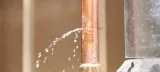 Plumbing companies toronto  Goproplumbing.ca