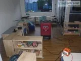 Professional Mould Removal Brisbane l Mould Treatment Cost Brisb