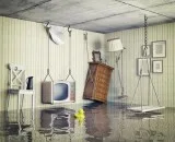 Water Damage Hyde Park