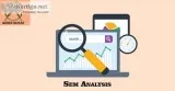 SEM Analysis