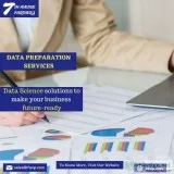 Data Preparation Services Company &ndash USA