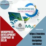 Give Best Service Wordpress Development Company in Delhi