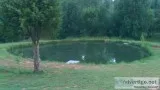 I LEASE PONDS NEAR OKC